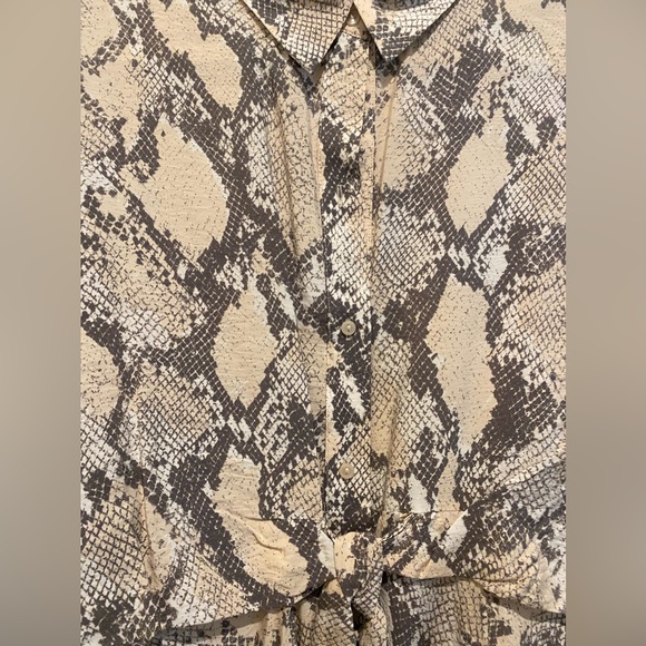 H & M, size L, snake print blouse - Picture 5 of 6